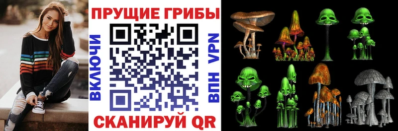 Галлюциногенные грибы Psilocybine cubensis Конаково