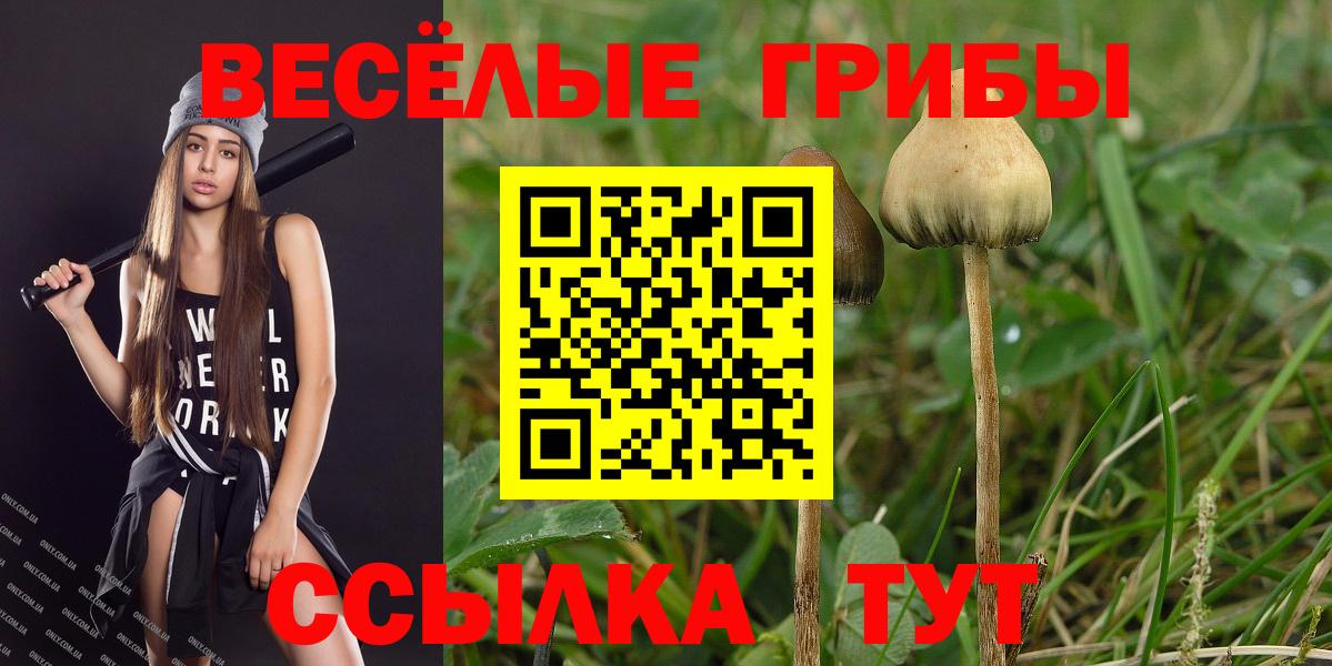 Конаково  Галлюциногенные грибы мухоморы  Вход с VPN 