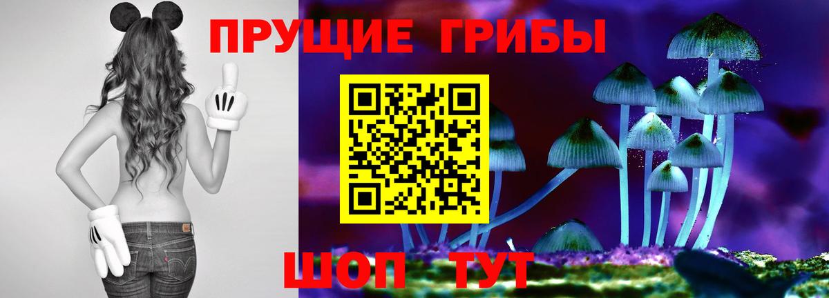 Псилоцибиновые грибы прущие грибы Конаково